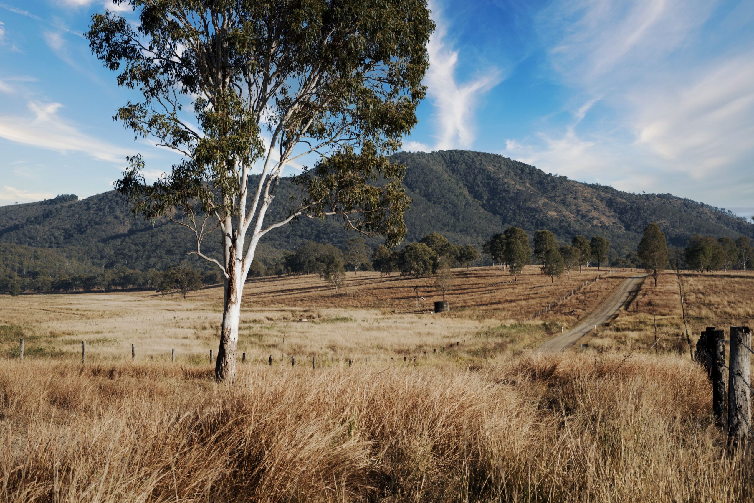 Rural Mobile Specialist Consultations: Bridging the Gap